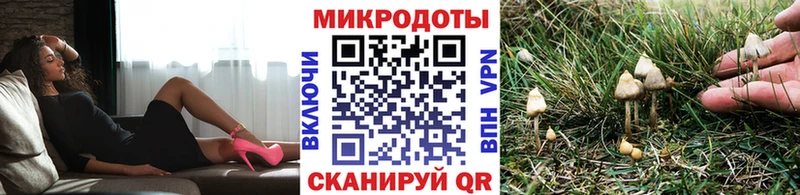 Псилоцибиновые грибы Magic Shrooms  где купить наркотик  blacksprut маркетплейс  Санкт-Петербург 